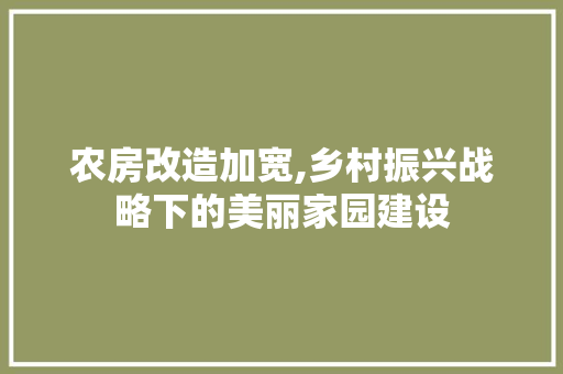 农房改造加宽,乡村振兴战略下的美丽家园建设 木雕艺术