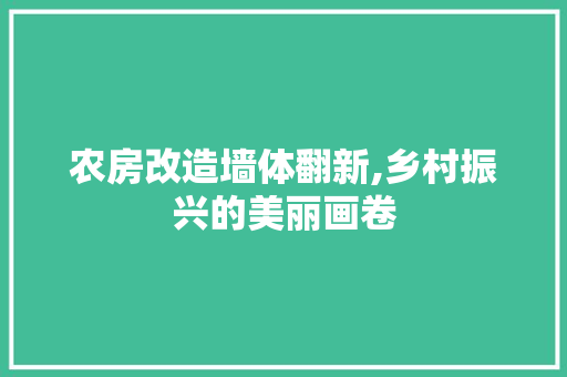 农房改造墙体翻新,乡村振兴的美丽画卷