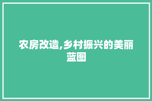 农房改造,乡村振兴的美丽蓝图 木雕艺术