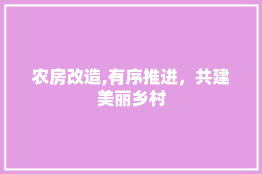 农房改造,有序推进，共建美丽乡村 中式风格装饰