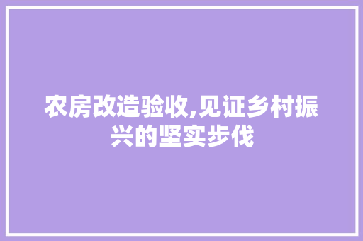农房改造验收,见证乡村振兴的坚实步伐