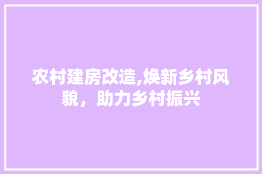 农村建房改造,焕新乡村风貌，助力乡村振兴