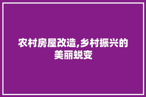 农村房屋改造,乡村振兴的美丽蜕变 木雕艺术