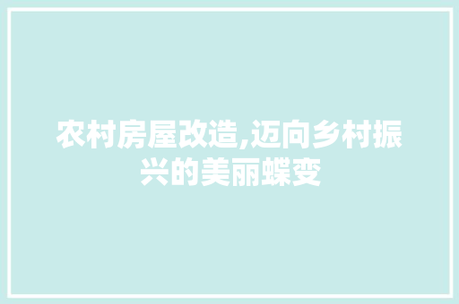 农村房屋改造,迈向乡村振兴的美丽蝶变 木雕艺术