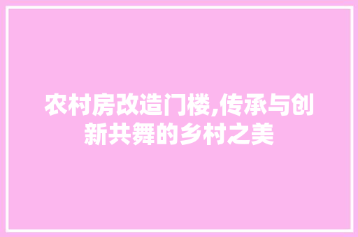 农村房改造门楼,传承与创新共舞的乡村之美