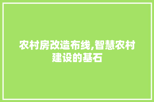 农村房改造布线,智慧农村建设的基石