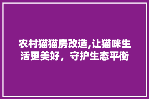 农村猫猫房改造,让猫咪生活更美好，守护生态平衡