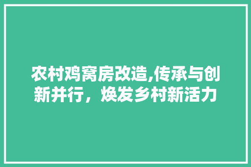 农村鸡窝房改造,传承与创新并行，焕发乡村新活力 中式风格装饰