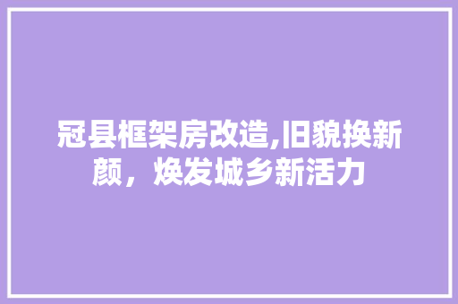 冠县框架房改造,旧貌换新颜，焕发城乡新活力 中式风格装饰