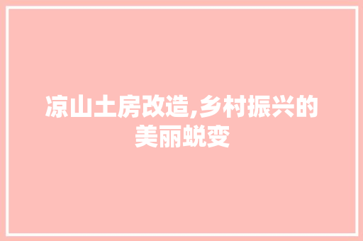 凉山土房改造,乡村振兴的美丽蜕变