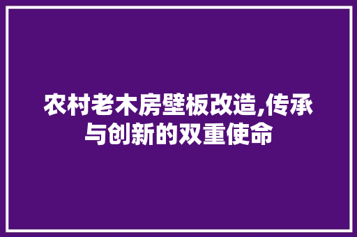 农村老木房壁板改造,传承与创新的双重使命 卧室装修