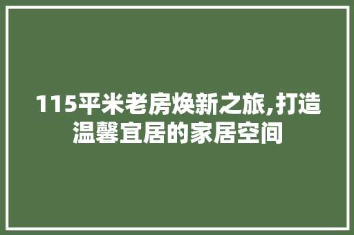 115平米老房焕新之旅,打造温馨宜居的家居空间