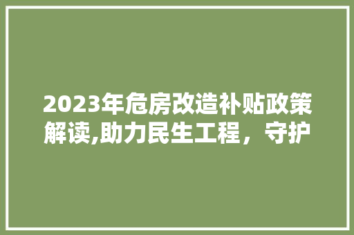 2023年危房改造补贴政策解读,助力民生工程，守护家园安全