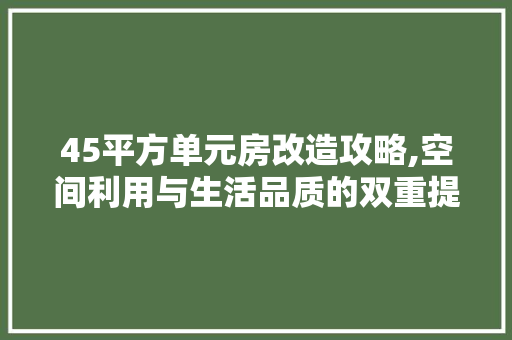 45平方单元房改造攻略,空间利用与生活品质的双重提升 木雕艺术