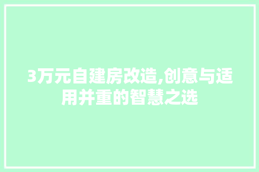 3万元自建房改造,创意与适用并重的智慧之选