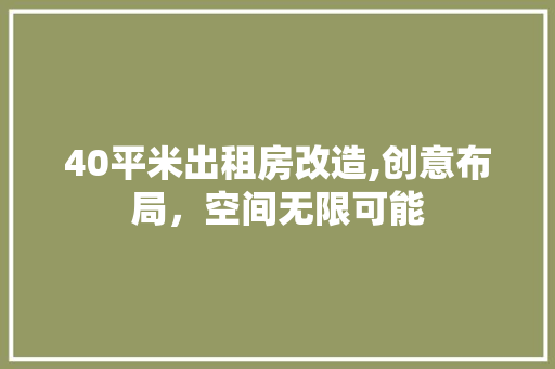 40平米出租房改造,创意布局，空间无限可能