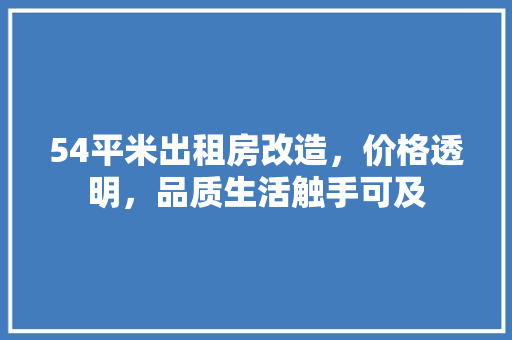 54平米出租房改造，价格透明，品质生活触手可及