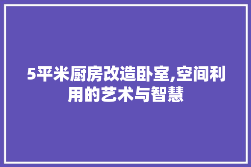 5平米厨房改造卧室,空间利用的艺术与智慧 客厅装修