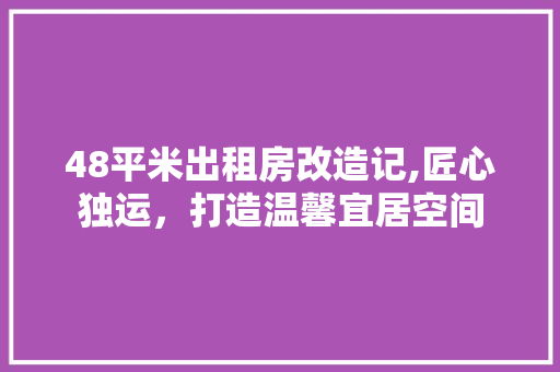 48平米出租房改造记,匠心独运，打造温馨宜居空间
