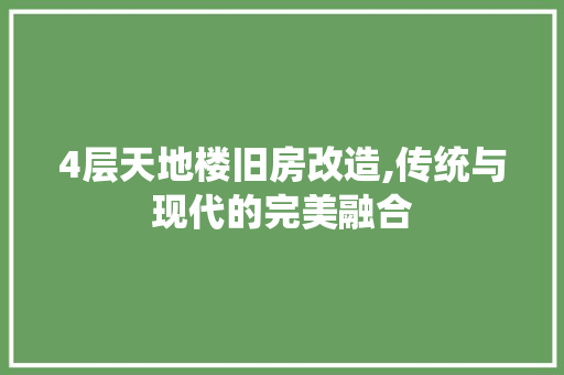 4层天地楼旧房改造,传统与现代的完美融合 地板材料