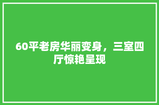 60平老房华丽变身，三室四厅惊艳呈现 软装设计