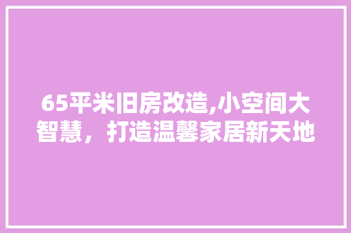 65平米旧房改造,小空间大智慧，打造温馨家居新天地 客厅装修
