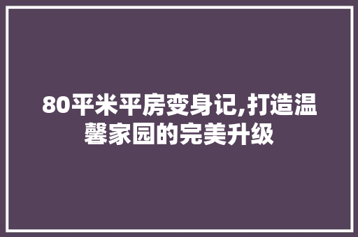 80平米平房变身记,打造温馨家园的完美升级 家居装修