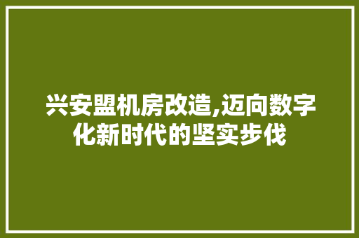 兴安盟机房改造,迈向数字化新时代的坚实步伐