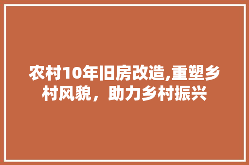农村10年旧房改造,重塑乡村风貌，助力乡村振兴 地板材料