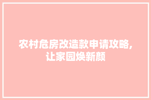 农村危房改造款申请攻略,让家园焕新颜 现代风格装饰