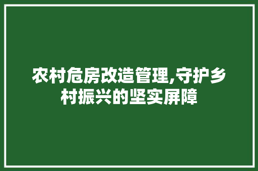 农村危房改造管理,守护乡村振兴的坚实屏障 木雕艺术