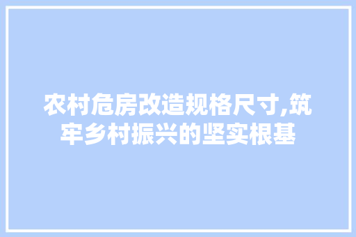农村危房改造规格尺寸,筑牢乡村振兴的坚实根基 软装设计