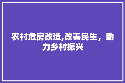 农村危房改造,改善民生，助力乡村振兴 中式风格装饰