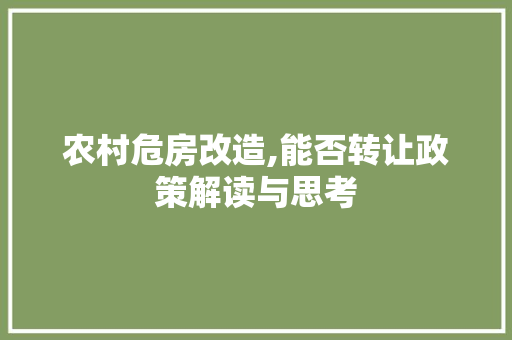 农村危房改造,能否转让政策解读与思考 中式风格装饰