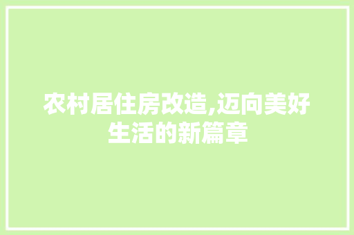 农村居住房改造,迈向美好生活的新篇章 中式风格装饰