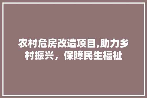 农村危房改造项目,助力乡村振兴，保障民生福祉 木雕艺术