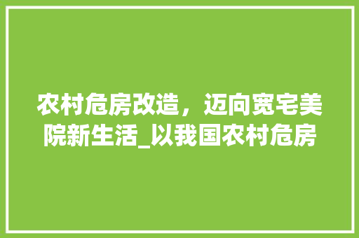 农村危房改造，迈向宽宅美院新生活_以我国农村危房改造为例 室内设计