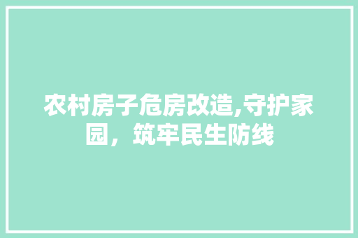 农村房子危房改造,守护家园，筑牢民生防线