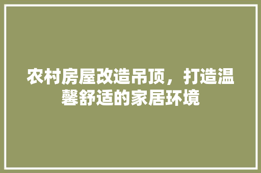 农村房屋改造吊顶，打造温馨舒适的家居环境 卧室装修