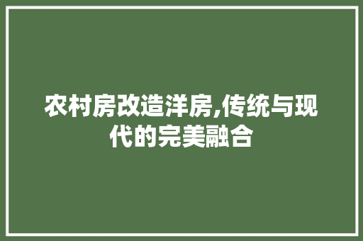 农村房改造洋房,传统与现代的完美融合 木雕艺术