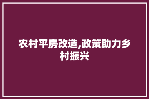 农村平房改造,政策助力乡村振兴