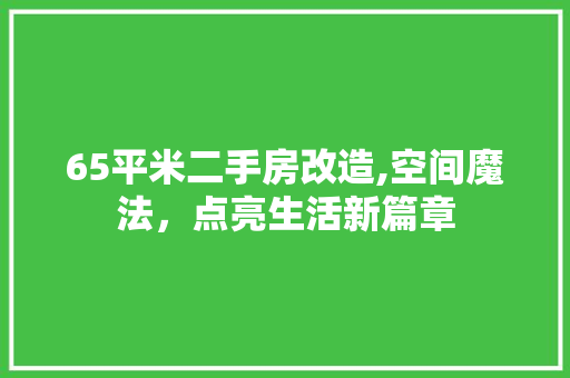 65平米二手房改造,空间魔法，点亮生活新篇章 中式风格装饰