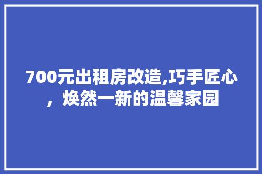 700元出租房改造,巧手匠心，焕然一新的温馨家园