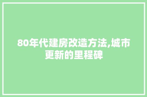 80年代建房改造方法,城市更新的里程碑