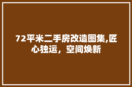 72平米二手房改造图集,匠心独运，空间焕新 客厅装修