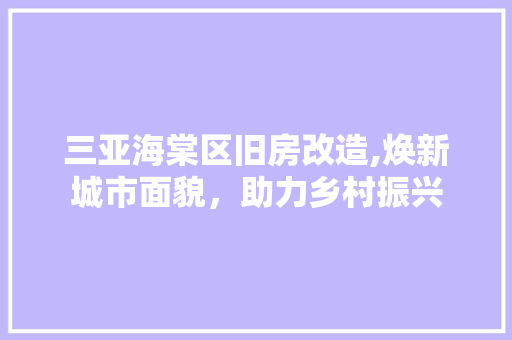 三亚海棠区旧房改造,焕新城市面貌，助力乡村振兴