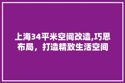 上海34平米空间改造,巧思布局，打造精致生活空间