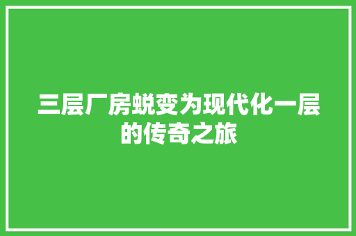 三层厂房蜕变为现代化一层的传奇之旅