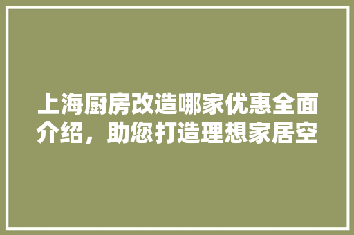 上海厨房改造哪家优惠全面介绍，助您打造理想家居空间！ 室内设计