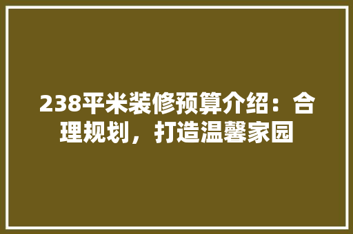 238平米装修预算介绍：合理规划，打造温馨家园